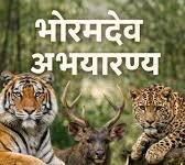 भोरमदेव में शुरू हो गई जंगल सफारी, 34 किलोमीटर लंबे ट्रैक में दुरदुरी झरना, बावापारा सकरी नदी का व्यू मोह लेगा मन